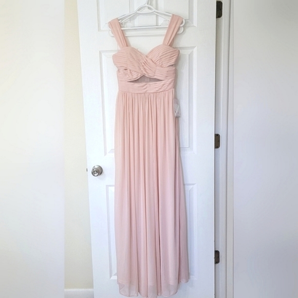 Birdy Grey Elsye Pleated Sweetheart Bodice w/Sheer Mesh Sleeveless Maxi Dress - Picture 6 of 6